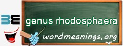 WordMeaning blackboard for genus rhodosphaera